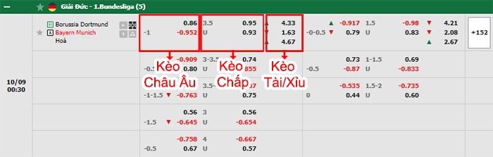 bảng kèo trận đấu Dortmund vs Bayern Munich