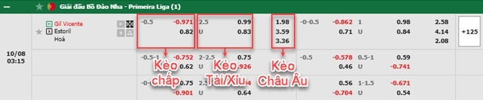 bảng kèo trận đấu Gil Vicente vs Estoril Praia