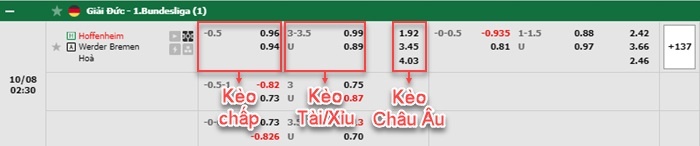 bảng kèo trận đấu Hoffenheim vs Bremen