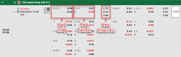 bảng kèo trận đấu Leicester vs Nottingham