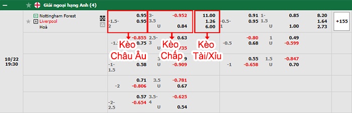 bảng kèo trận đấu Nottingham vs Liverpool