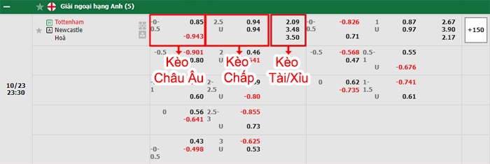 bảng kèo trận đấu Tottenham vs Newcastle