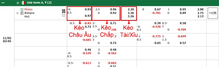 bảng kèo trận đấu Monza vs Bologna