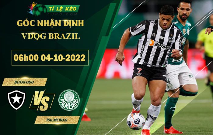 soi kèo Botafogo vs Palmeiras