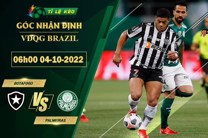 soi kèo Botafogo vs Palmeiras