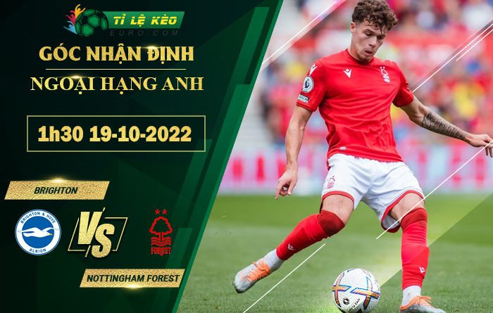 soi kèo Brighton vs Nottingham