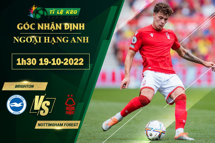 soi kèo Brighton vs Nottingham