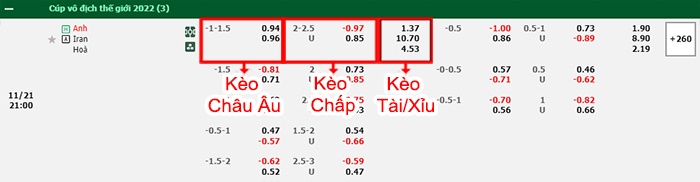bảng kèo trận đấu Anh vs Iran