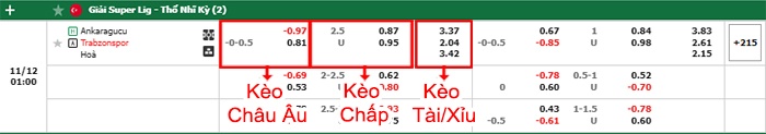 bảng kèo trận đấu Ankaragucu vs Trabzonspor