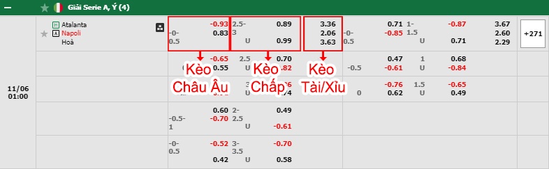 bảng kèo trận đấu Atalanta vs Napoli