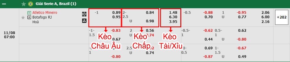 bảng kèo trận đấu Atletico Mineiro vs Botafogo