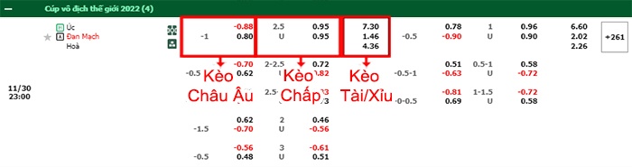 bảng kèo trận đấu Australia vs Đan Mạch