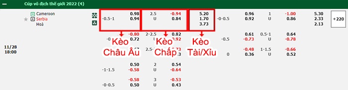 bảng kèo trận đấu Cameroon vs Serbia