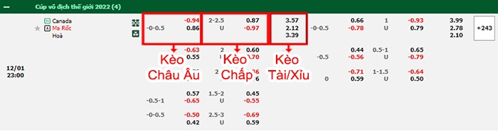 bảng kèo trận đấu Canada vs Morocco