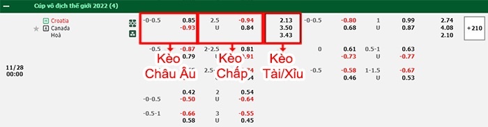 bảng kèo trận đấu Croatia vs Canada