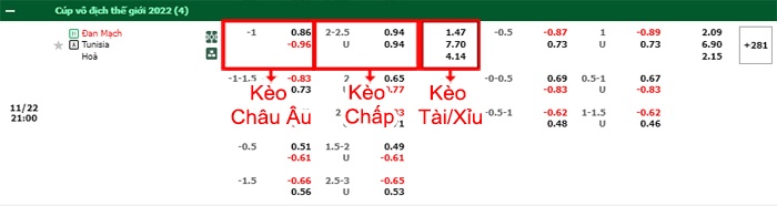bảng kèo trận đấu Đan Mạch vs Tunisia