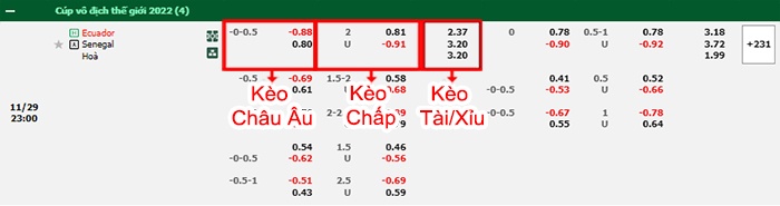bảng kèo trận đấu Ecuador vs Senegal