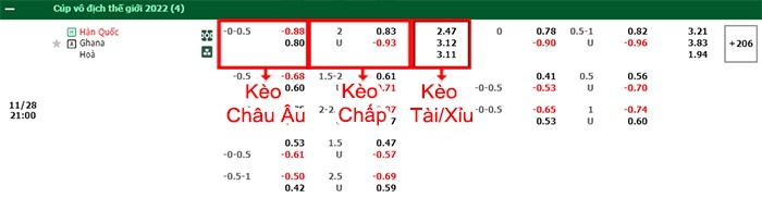 bảng kèo trận đấu Hàn Quốc vs Ghana