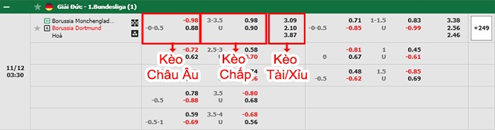 bảng kèo trận đấu Monchengladbach vs Dortmund