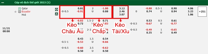 bảng kèo trận đấu Qatar vs Ecuador