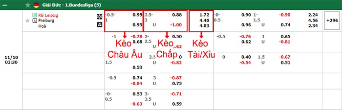 bảng kèo trận đấu RB Leipzig vs Freiburg