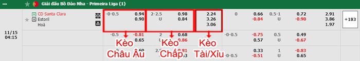 bảng kèo trận đấu Santa Clara vs Estoril Praia