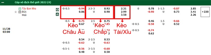 bảng kèo trận đấu Tây Ban Nha vs Đức