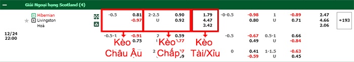 bảng kèo trận đấu Hibernian vs Livingston