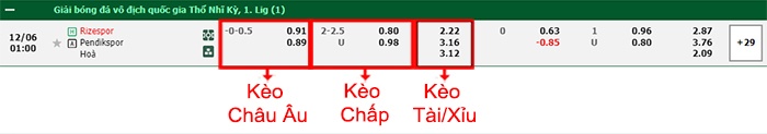 bảng kèo trận đấu Rizespor vs Pendikspor