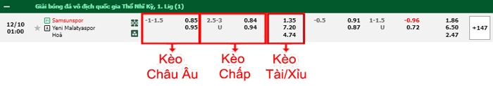 bảng kèo trận đấu Samsunspor vs Malatyaspor