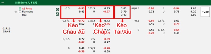 bảng kèo trận đấu AS Roma vs Fiorentina
