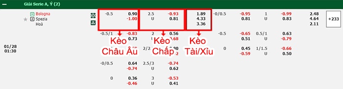 bảng kèo trận đấu Bologna vs Spezia