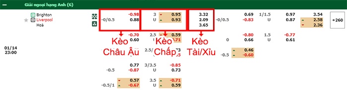 bảng kèo trận đấu Brighton vs Liverpool