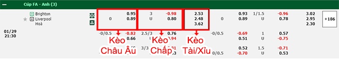 bảng kèo trận đấu Brighton vs Liverpool
