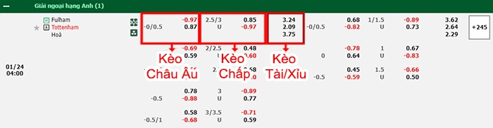 bảng kèo trận đấu Fulham vs Tottenham