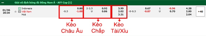 bảng kèo trận đấu Indonesia vs Việt Nam