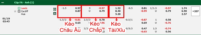 bảng kèo trận đấu Leeds United vs Cardiff