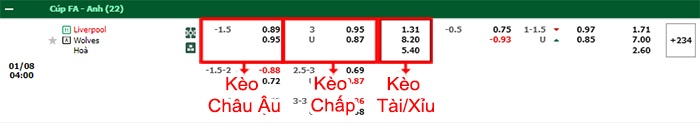 bảng kèo trận đấu Liverpool vs Wolves