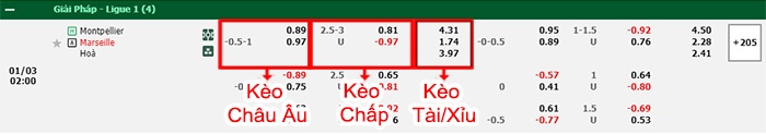 bảng kèo trận đấu Montpellier vs Marseille