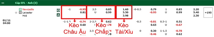 bảng kèo trận đấu Newcastle vs Leicester