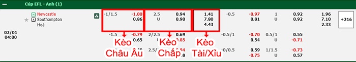 bảng kèo trận đấu Newcastle vs Southampton