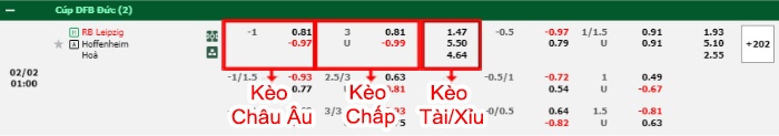 bảng kèo trận đấu RB Leipzig vs Hoffenheim