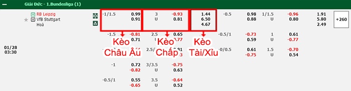 bảng kèo trận đấu RB Leipzig vs Stuttgart