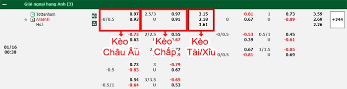 bảng kèo trận đấu Tottenham vs Arsenal