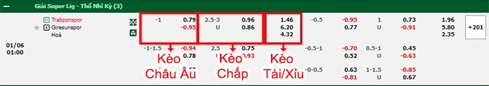 bảng kèo trận đấu Trabzonspor vs Giresunspor