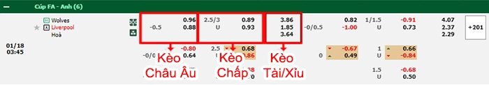Nhận định soi kèo Wolves vs Liverpool, 02h45 ngày 18/1