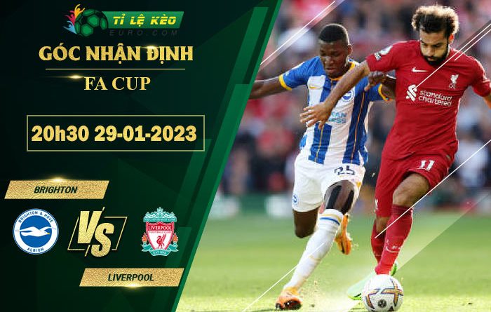 soi kèo Brighton vs Liverpool