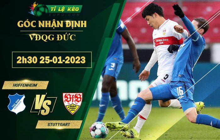 soi kèo Hoffenheim vs Stuttgart