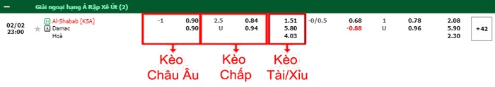 bảng kèo trận đấu Al-Shabab vs Dhamk