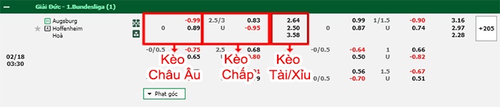 bảng kèo trận đấu Augsburg vs Hoffenheim